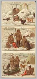 cards on Eskimo Life