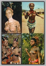 Card Collection French Equatorial Africa