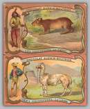 people and animals of South America