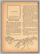 The Golden Stamp Book of Marco Polo, 1954