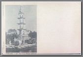 t-fim246