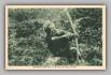 Missionary Card Japan 033