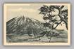 Missionary Card Japan 053